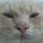 djxcs's Avatar'