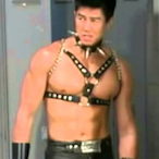 IranStarWolf's Avatar'