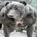 MrUnderDawg5820's Avatar'