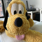 argenteouccello's Avatar'