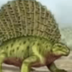 spingle.bab's Avatar