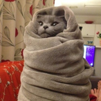 EvilSawBunny's Avatar'
