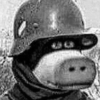 Burberx's Avatar'