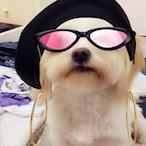 FartGaming444's Avatar'