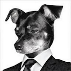 sternnoober's Avatar'