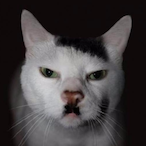 Kevinusman's Avatar'
