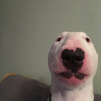 luigibroscros02's Avatar'