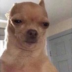lilslipperyboi's Avatar'