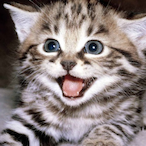 BoopBeeb.BS's Avatar'