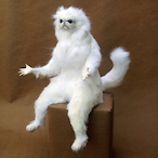 RickkyBobby1287's Avatar'