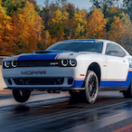 llsopranoll's Avatar'