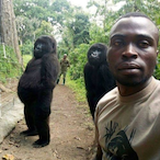 Satans Biscuit's Avatar'