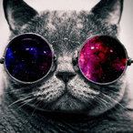 M-a_T-a_D-o_R's Avatar