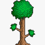 MrMit777's Avatar'