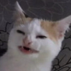 ChipoulittoOE's Avatar'