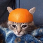 mashedpotato_'s Avatar'