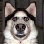GeorgeHeadly's Avatar'