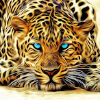 Zahorszky's Avatar'