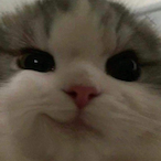 duckbubi.-'s Avatar'