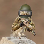 pandadarden's Avatar'