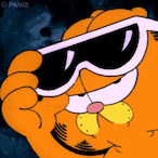 Katsuyooo's Avatar'