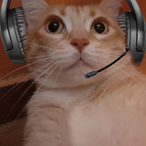 CooperC17's Avatar'