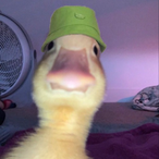 verstehenk's Avatar'