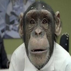 Rabbi__Jacob's Avatar'