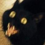 ImKuu's Avatar'