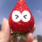 PanPan.PUSA's Avatar'