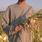 Fishesfall's Avatar'