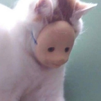 TheCatsLyfe's Avatar'