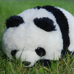 rolf.ratzer's Avatar