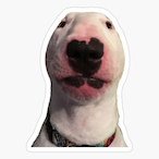 BIakary's Avatar'