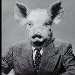 OITENTADETESTO's Avatar'