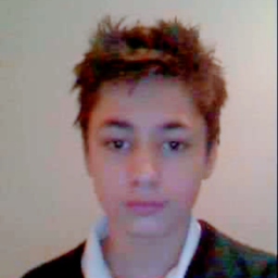The-Twitcher