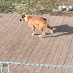 KU2HRIKEYBOY's Avatar'