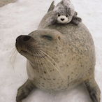 Lady_Macieira's Avatar'