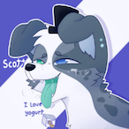 TACo.Chet0's Avatar'