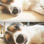 jbkim0090's Avatar'