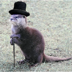 KlopsiDerSeotto's Avatar'