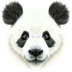 Declyn_'s Avatar'