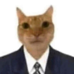 Raiider1995's Avatar'