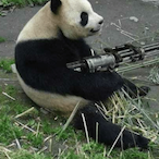 Mr.Perk_-_'s Avatar'