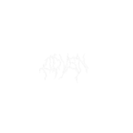 CXVEN.'s Avatar'