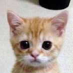lKezra's Avatar'