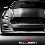 Cramsaleen's Avatar'