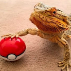 DaddySense's Avatar'