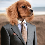 Herqulis01's Avatar'