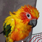 TheYeastBeast69's Avatar'